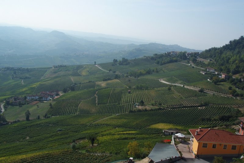 lamorra03.jpg
