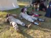 morimondo2305201044_small.jpg
