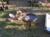 morimondo2305201048_small.jpg